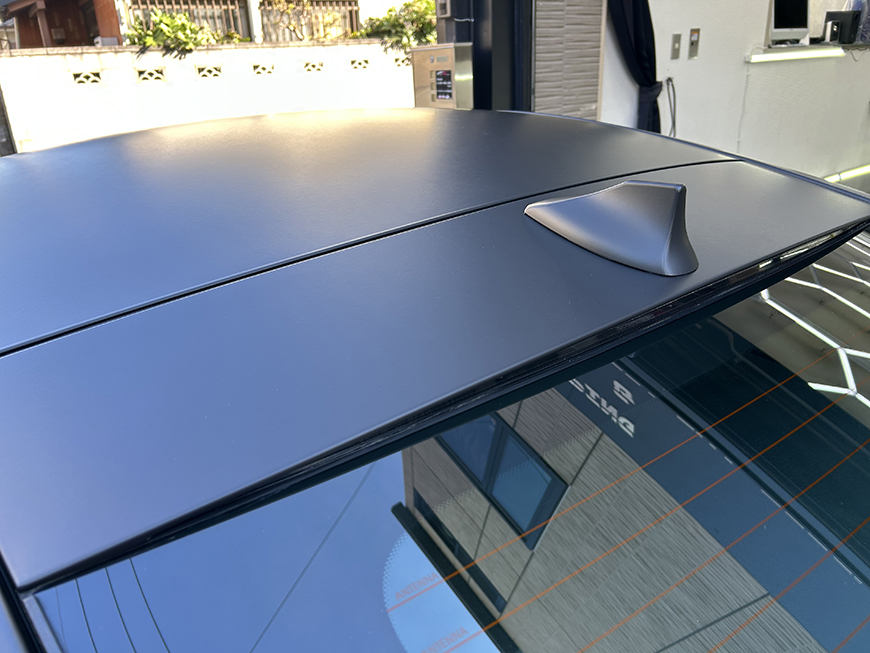 �t�����b�s���O���q�l�摜234 �W���K�[�^�C�vF�ڍ׉摜-8