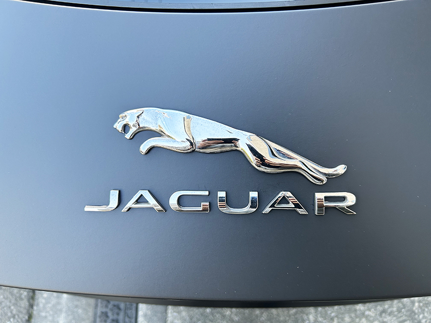 �t�����b�s���O���q�l�摜234 �W���K�[�^�C�vF�ڍ׉摜-9