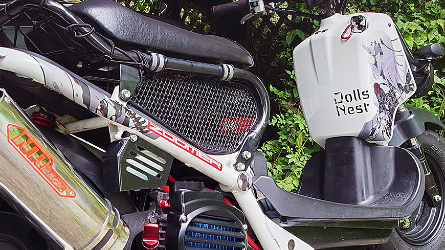 ɎԂql摜408 Dolls Nest